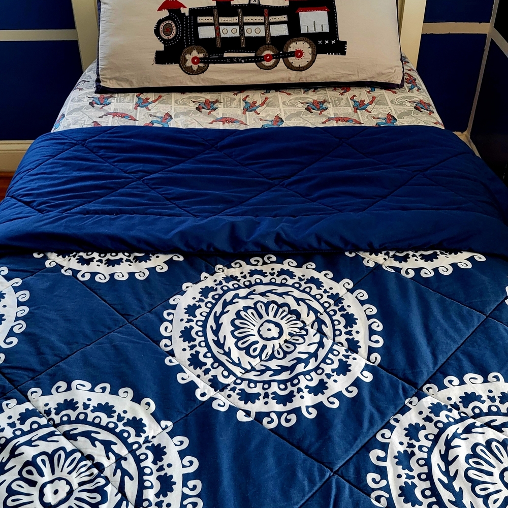 Pottery Barn Teen Medallion Twin Comforter